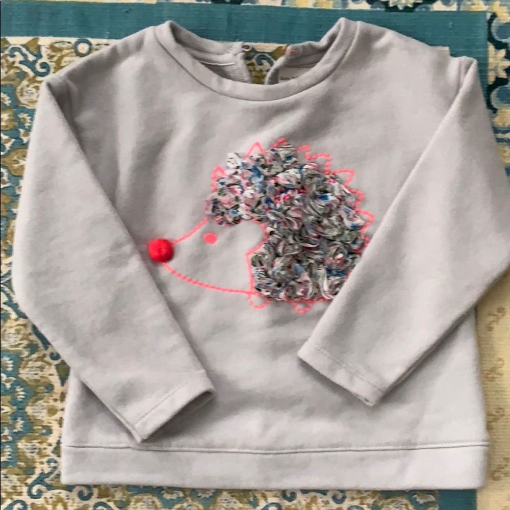 Zara hedgehog sweatshirt